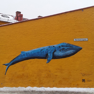 Responsible tourism in Norway