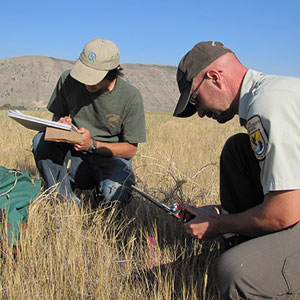 Wildlife conservation volunteering advice