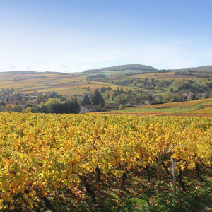 Loire Valley travel guide