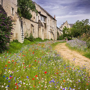 Loire Valley walking holidays