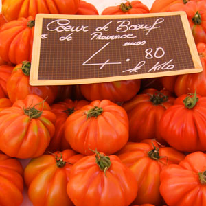Responsible tourism in the Loire Valley