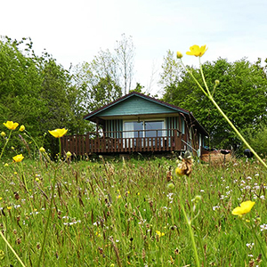 Rural farmstay holidays in Devon