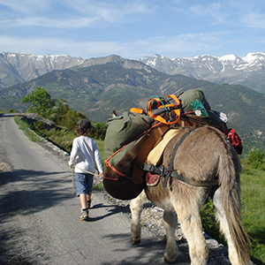 Where to go on a family walking holiday