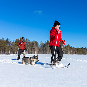 Best time to go to Finland in winter