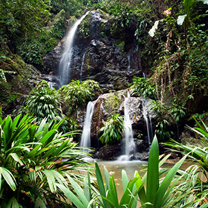 Tobago holidays - top 10 things to do