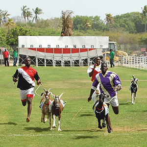 Events in Tobago
