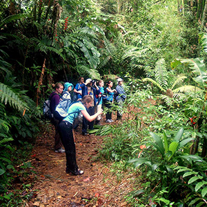 Land activities in Tobago