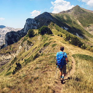 Best places to go lynx tracking