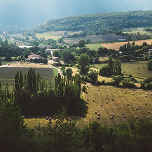 Provence travel guide