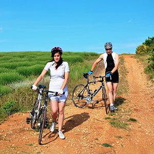 Provence tips & advice