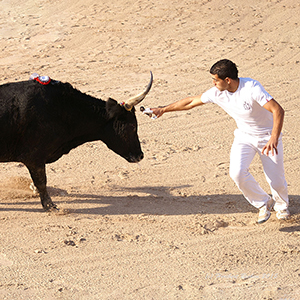 Responsible tourism in Provence