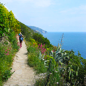 Walking in Cinque Terre