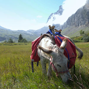 Top 10 unusual combination holidays