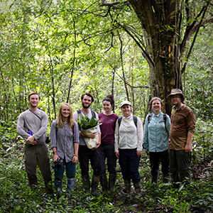 Volunteering with orangutans in Sarawak