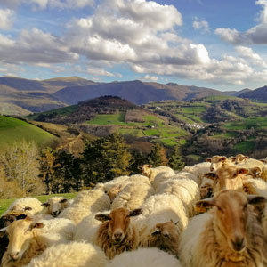 Basque Country walking holidays