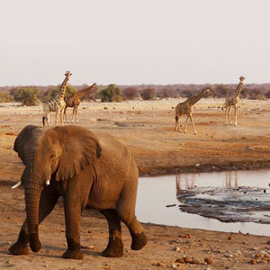 Namibia cycling map & highlights
