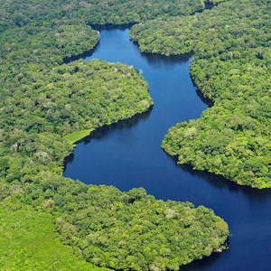 Best time to visit the Amazon
