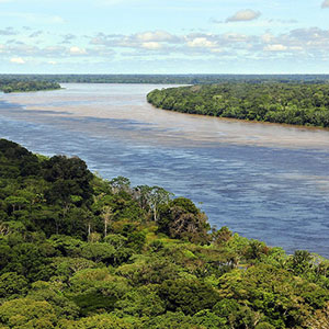 Can tourism help save the Amazon Rainforest?