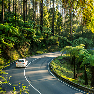 Driving the Great Ocean Road