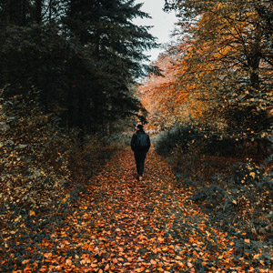 Walking in England