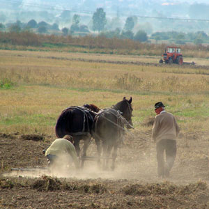 Responsible tourism in Transylvania