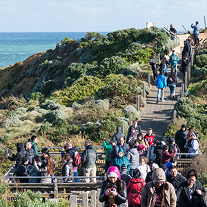Responsible tourism on the Great Ocean Road