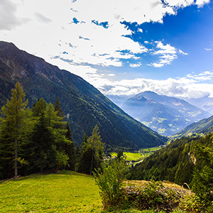 Holidays in the Tyrol