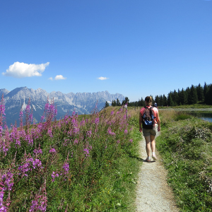 Walking & hiking in Austria