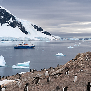 Best time to visit the Polar regions