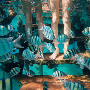 Red Sea diving holidays