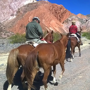 Horse riding holidays in Argentina.