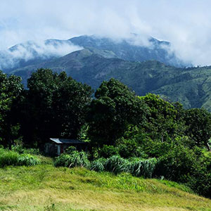 Jamaica travel guide