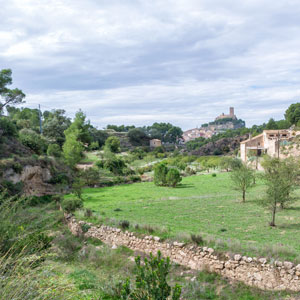 Cycling holidays in Valencia