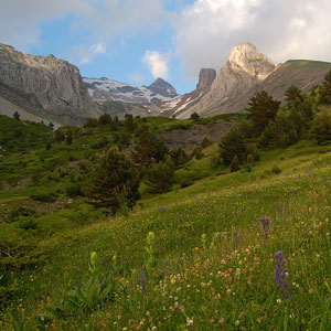 Western Valleys Natural Park, Aragon