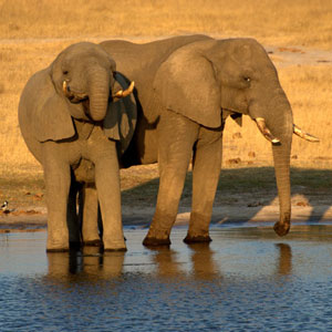 Zimbabwe travel guide