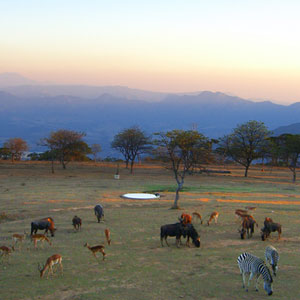 Best time to visit Zimbabwe