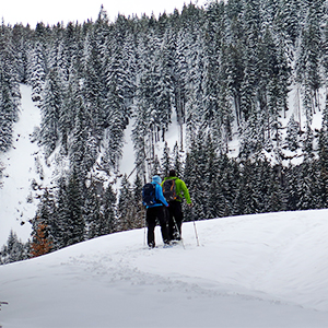 Walking in the Bavarian Alps