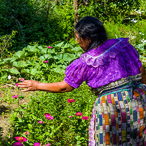 How to choose a Central America overland tour
