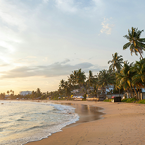 Best time for a family holiday in Sri Lanka