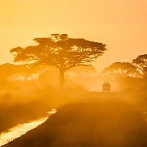 Kenya honeymoon ideas