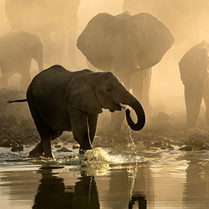 Botswana honeymoon ideas