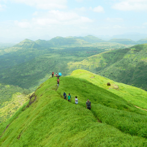 Walking in the Western Ghats