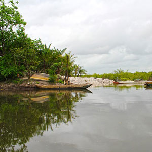 Best time to visit Gambia