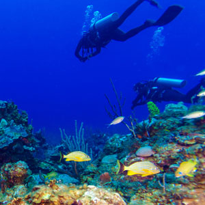 Things to do in Cuba
