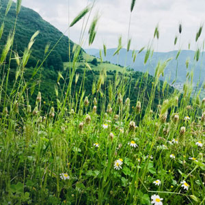 Things to see & do in the Rhodope Mountains