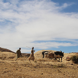 Best time to visit Eritrea