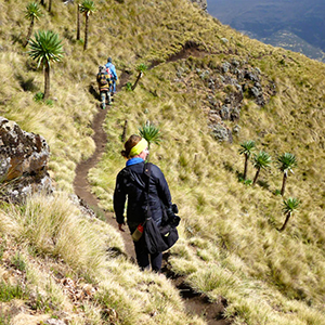 Walking holidays in Ethiopia