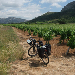 When to go cycling in France