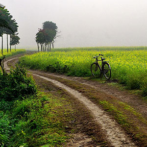 Cycling in India travel guide