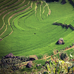 South East Asia Travel Advice Helping Dreamers Do
